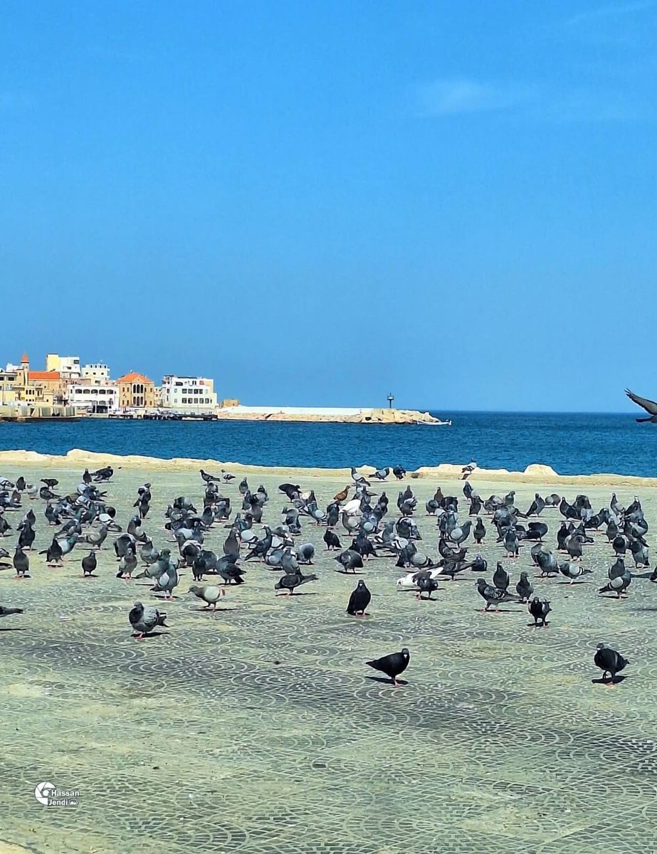 Faten abdulaziz tweet media