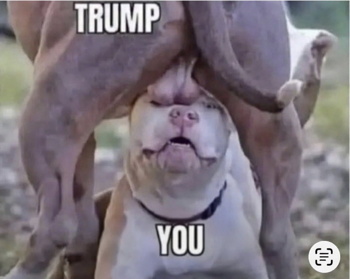 MoossoliniDaGod tweet media