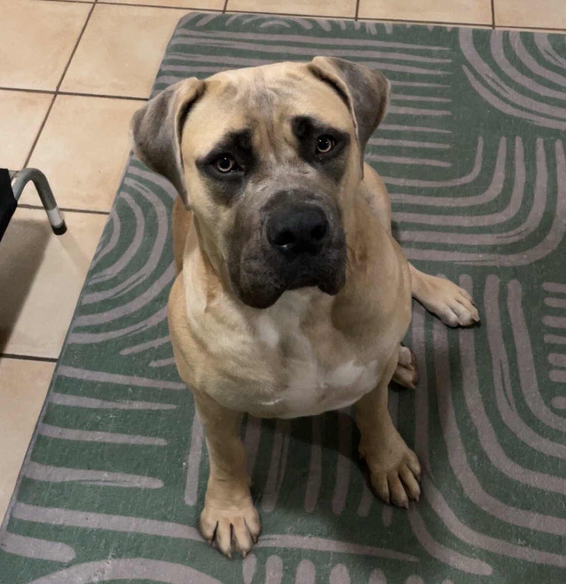 MUSKAT NUSS tweet media