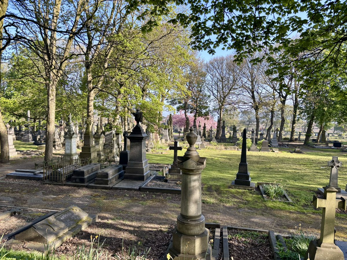 Cumberdick BenderBatch tweet media