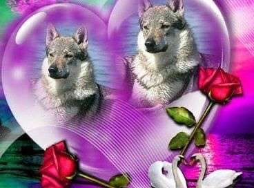 Hᥱᥴtor tweet media