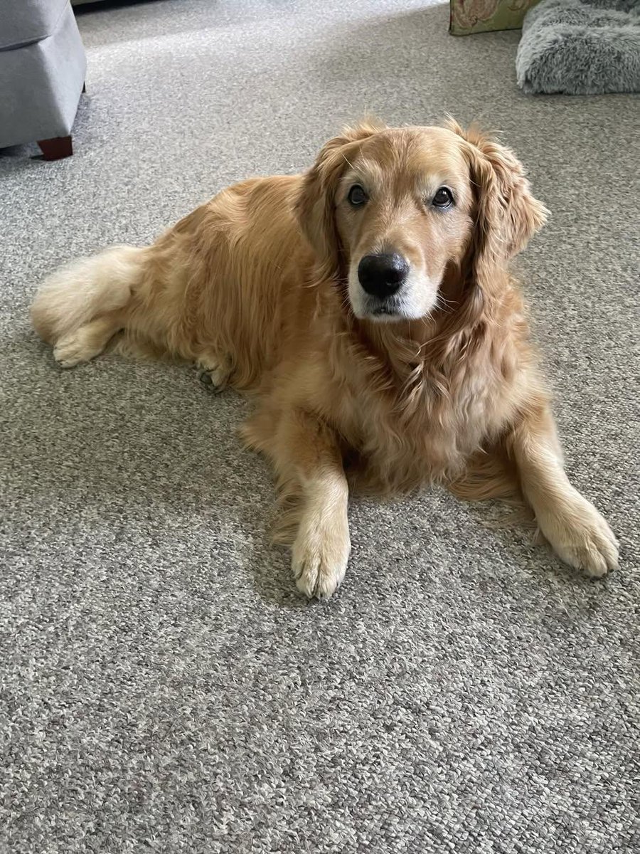 Sara Mary ⭐❤️ tweet media