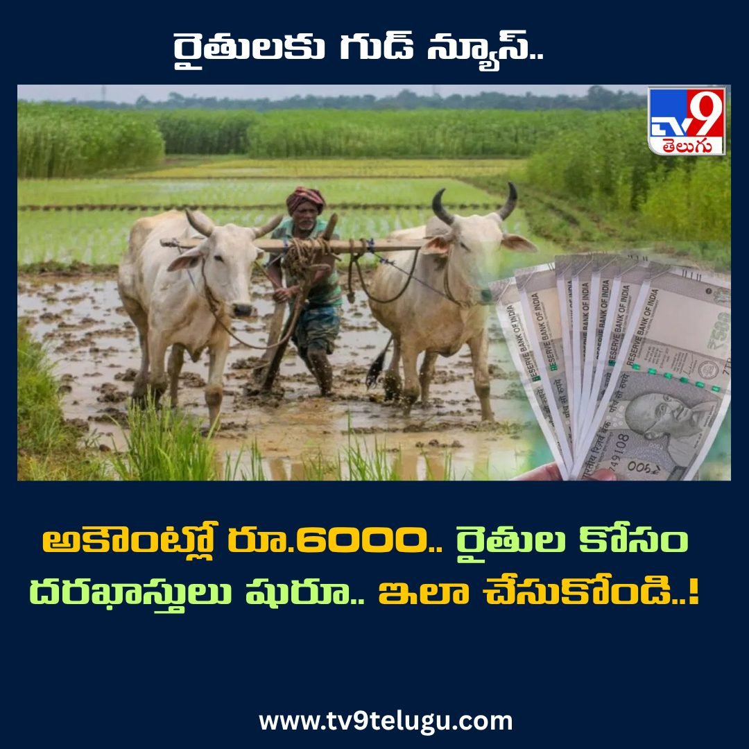 TV9Telugu's tweet image. రైతులకు గుడ్ న్యూస్.. అకౌంట్లో రూ.6000.. రైతుల కోసం దరఖాస్తులు షురూ.. ఇలా చేసుకోండి..!

tv9telugu.com/business/pm-ki…

#PMKisan #FarmersNews #Agriculture