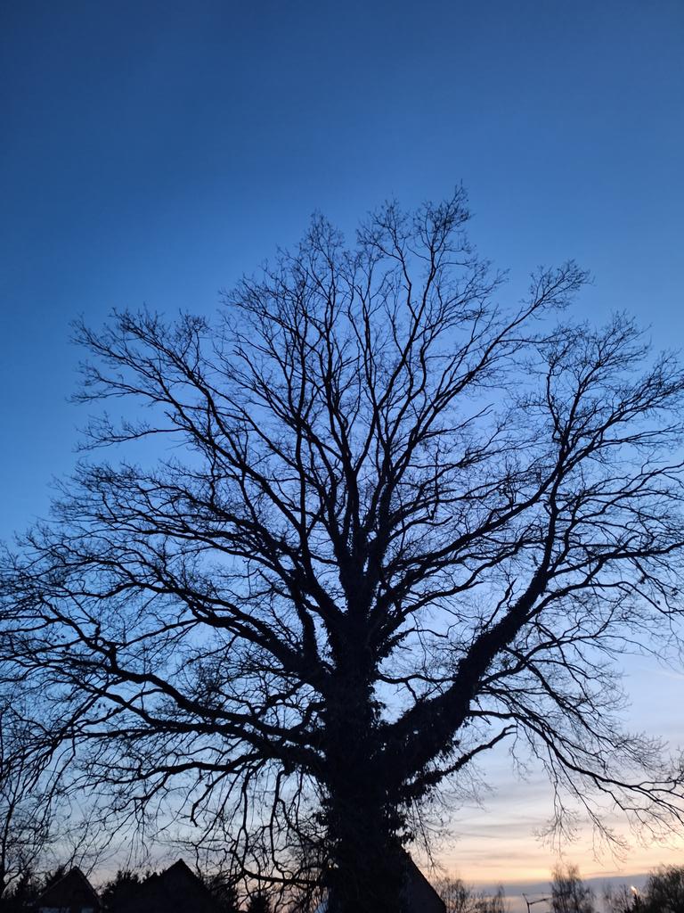 ✹Non✹Aesthetic✹ tweet media