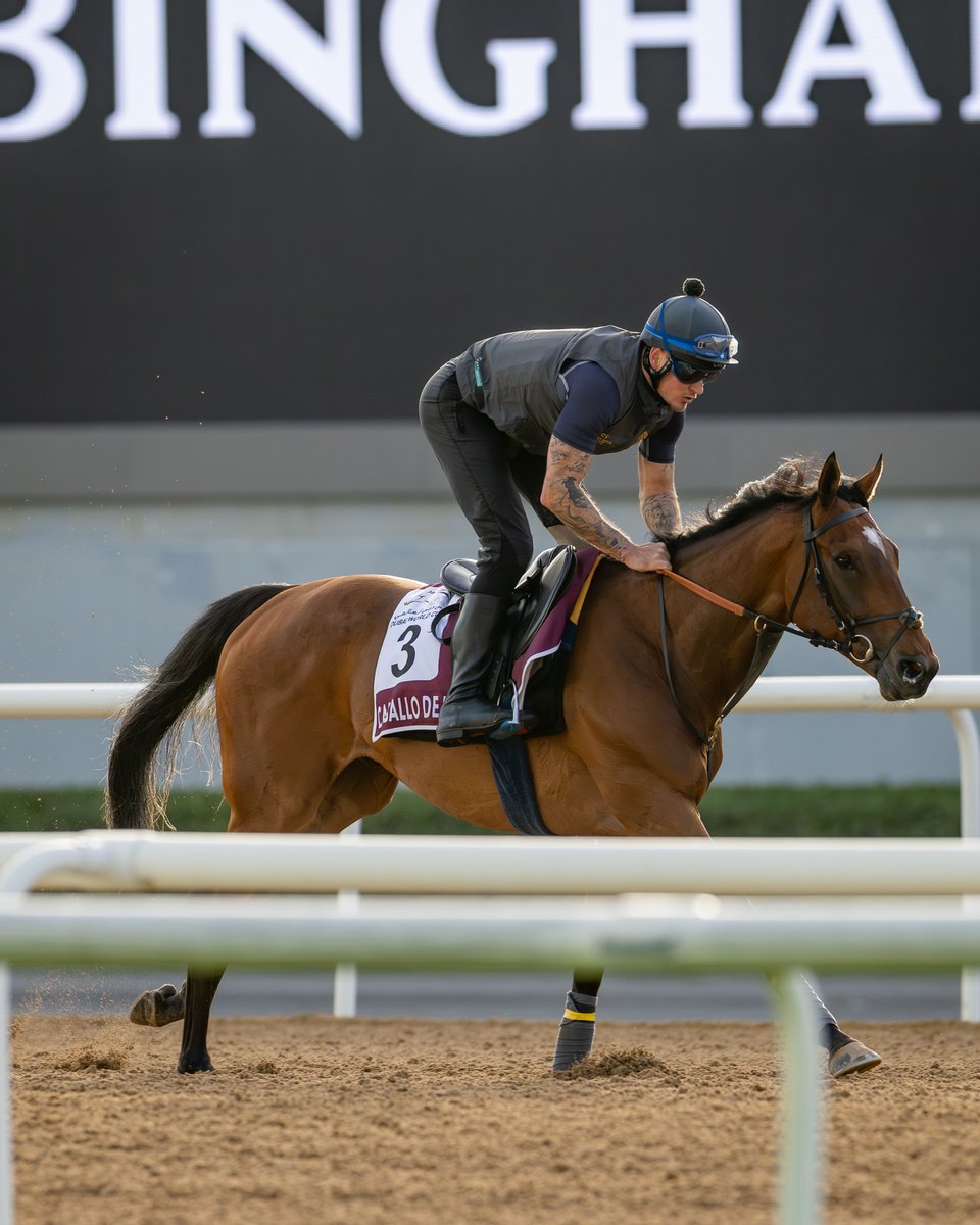 Dubai Racing Club tweet media