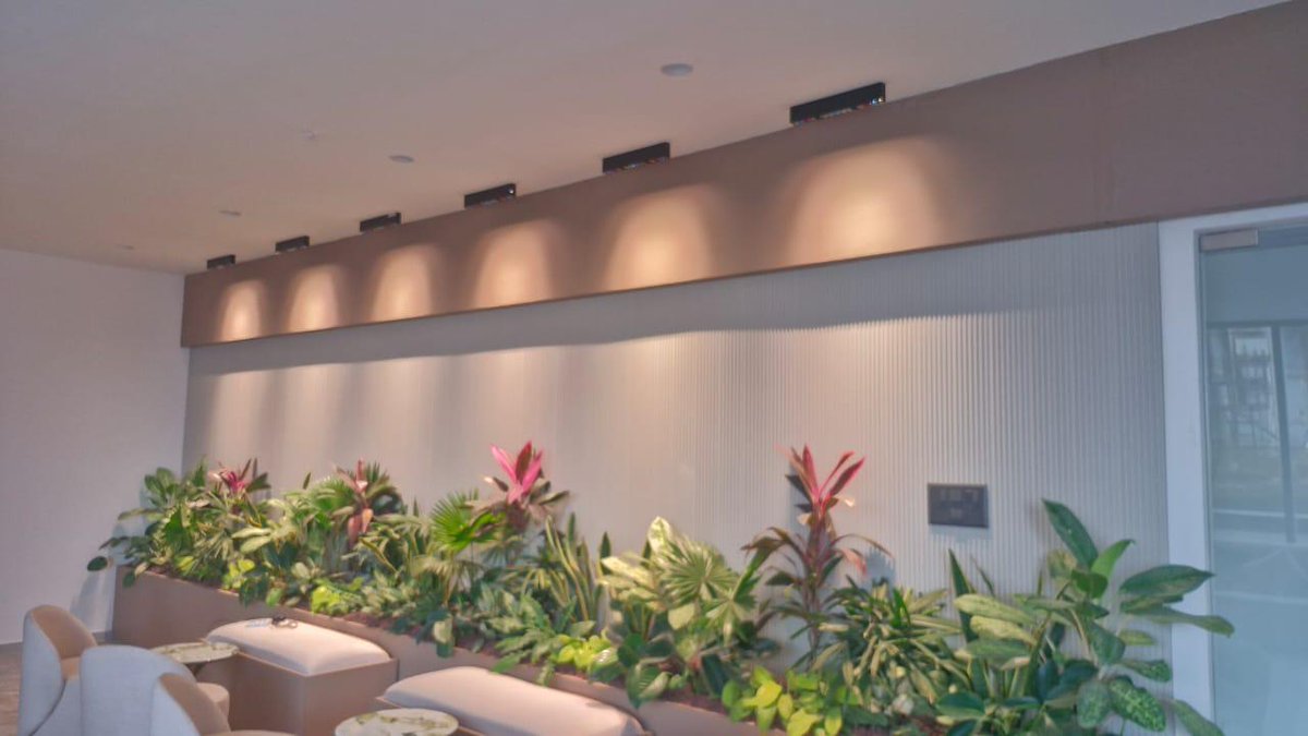 NexselT's tweet photo. Indoor landscaping isn’t just aesthetics—it’s about plant survival. 

Without proper light spectrum and intensity, plants struggle.

Smart lighting ensures healthy growth, lower maintenance, and reliable indoor design. 

Lighting isn’t décor—it’s essential. https://t.co/67p9yASYmK