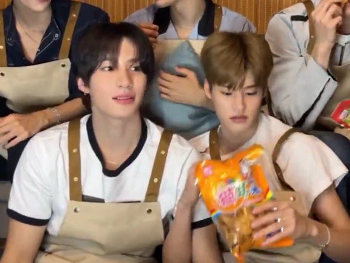 개교미 tweet media