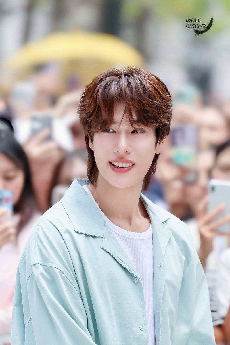 Dreamcatcher tweet media