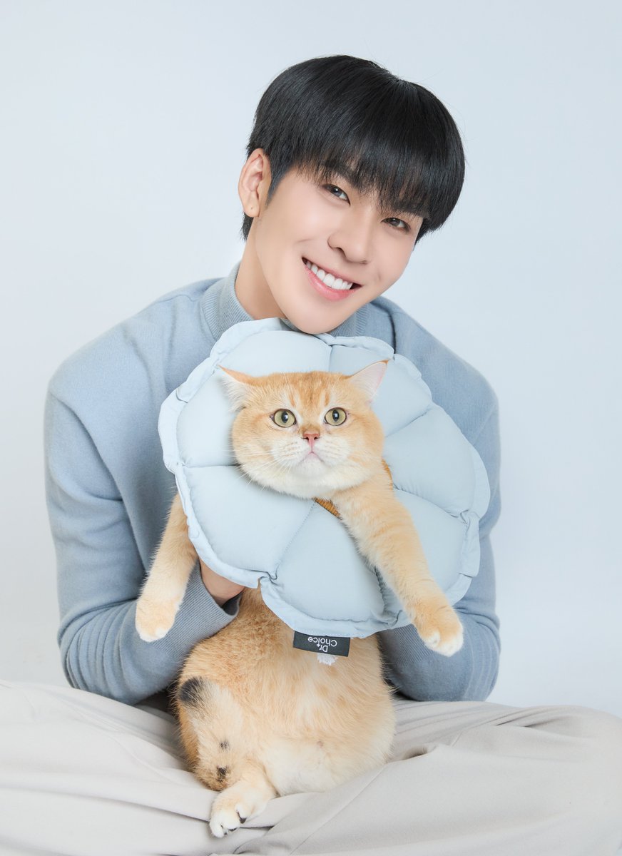 STAR CLUSTERS tweet media