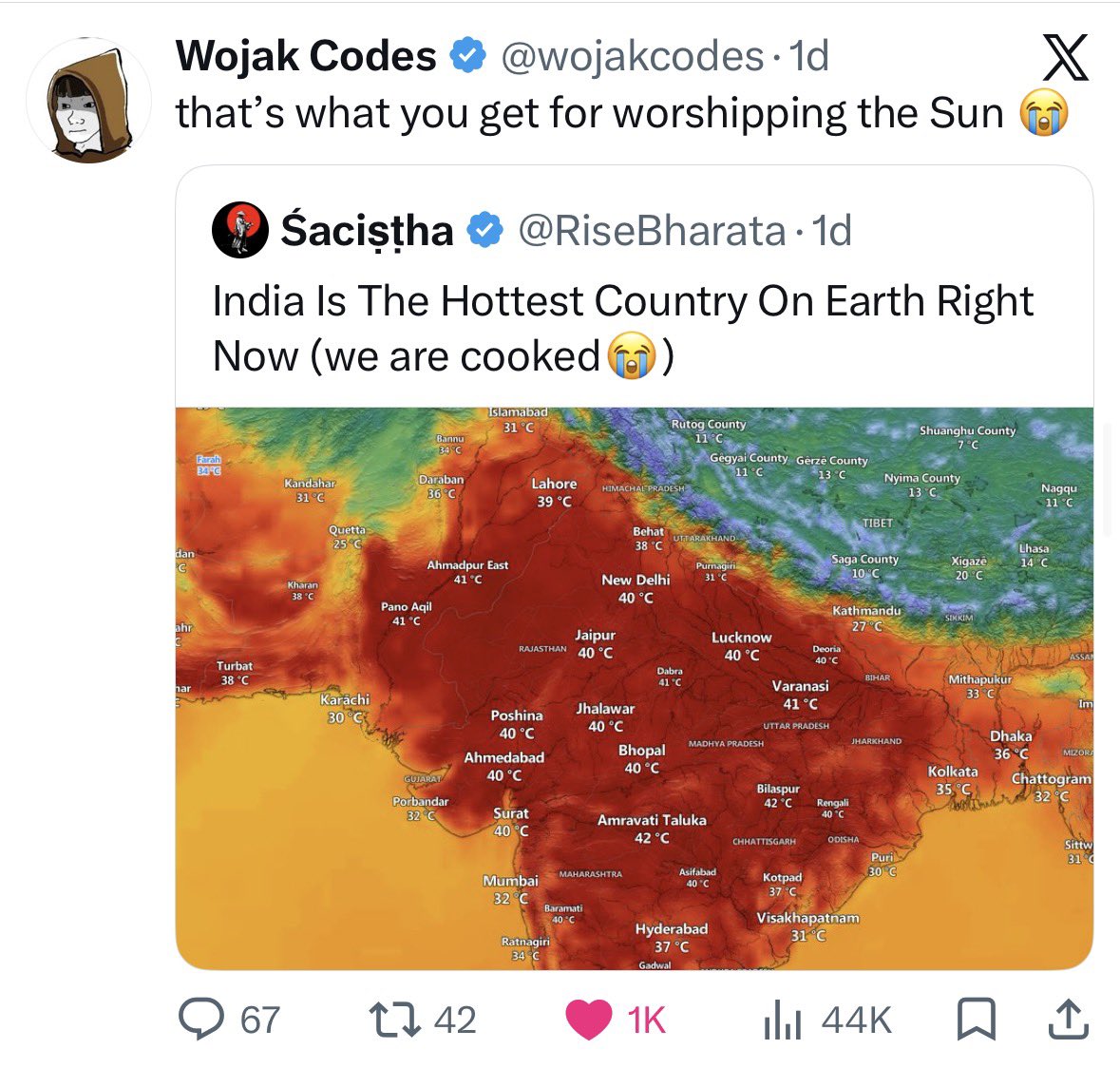 ‎Wojak Codes tweet media