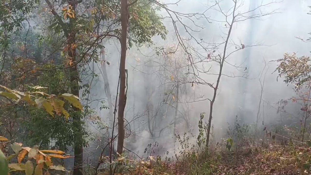 badakhabarnews's tweet image. #ଜଳୁଛି_ଘାଟି_ଜଙ୍ଗଲ #ବିପଦରେ_ବନ୍ୟସମ୍ପଦ
-ମାଲକାନଗିରି: ଚିତ୍ରକୋଣ୍ଡା ଓ ବାଲିମେଳା ଘାଟି ଜଙ୍ଗଲରେ ଭୟାବହ ଅଗ୍ନିକାଣ୍ଡ
-ଚିତ୍ରକୋଣ୍ଦା ଥାନା ନିକଟରେ ପହଞ୍ଚିଲାଣି ନିଆଁର ପ୍ରକୋପ
-ଅଗ୍ନିକାଣ୍ଡ ଯୋଗୁଁ ଅନେକ ମୂଲ୍ୟବାନ ଗଛ ପୋଡ଼ି ନଷ୍ଟ, ବିପଦରେ ଜୀବଜନ୍ତୁ
#Malkangiri #ForestFire #Chitrakonda #BadaKhabar