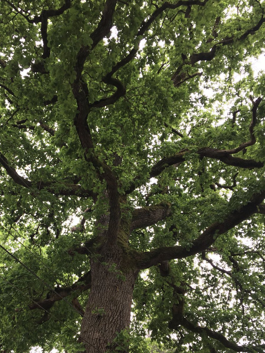 Django & Michèle tweet media