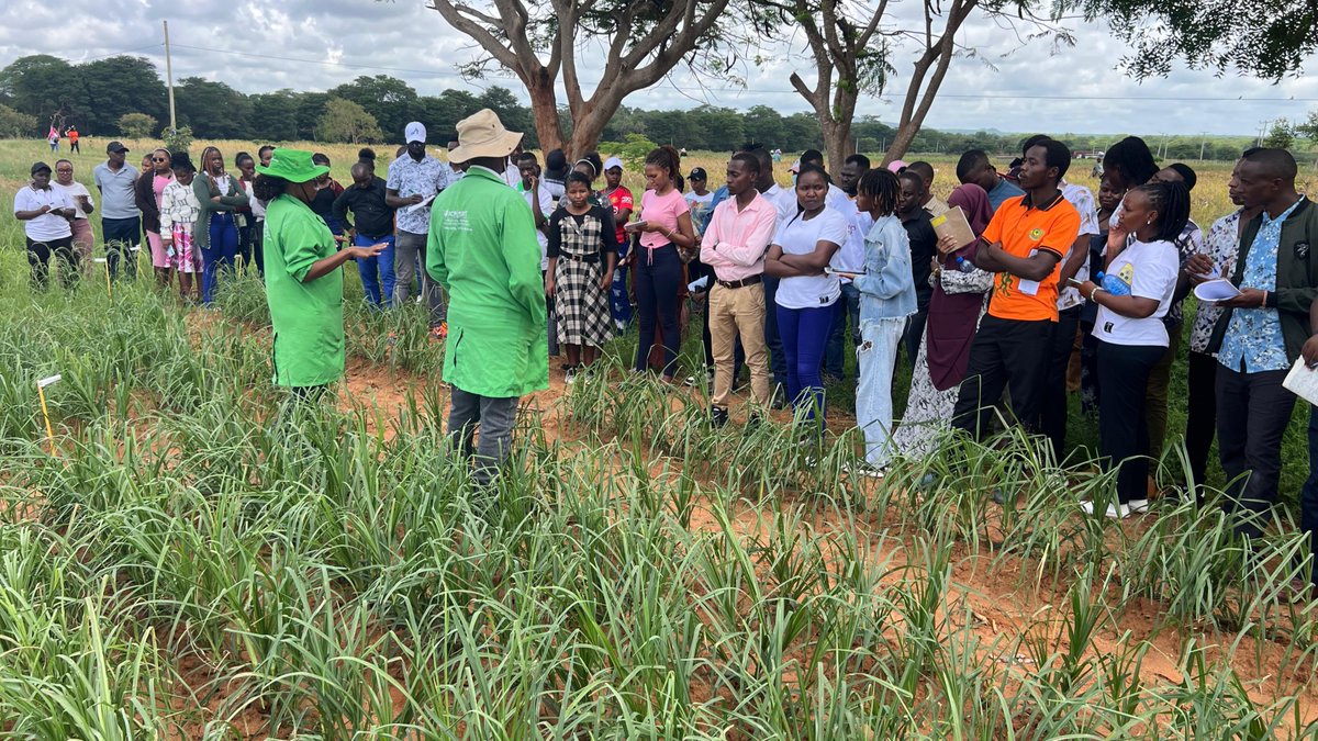 ICRISAT tweet media