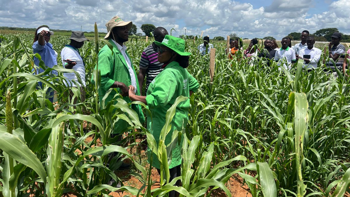 ICRISAT tweet media