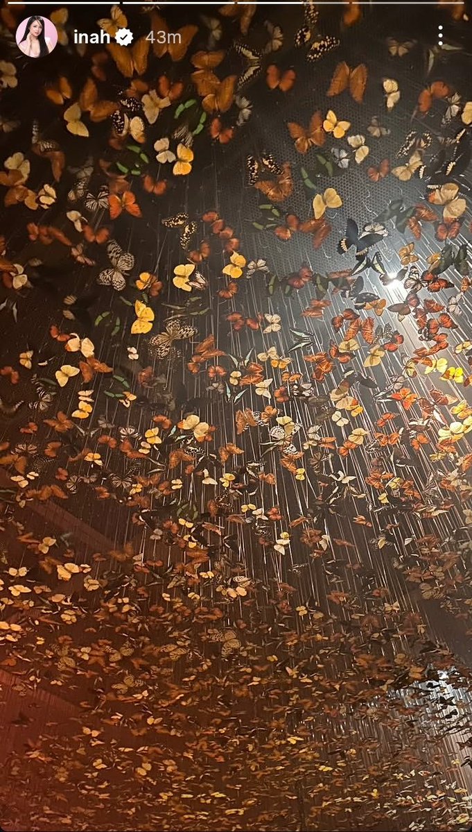 OnabGrey's tweet image. Butterflies  symbolizes  everlasting  love 🧡
#KaiNiel
#DanielPadilla #KailaEstrada