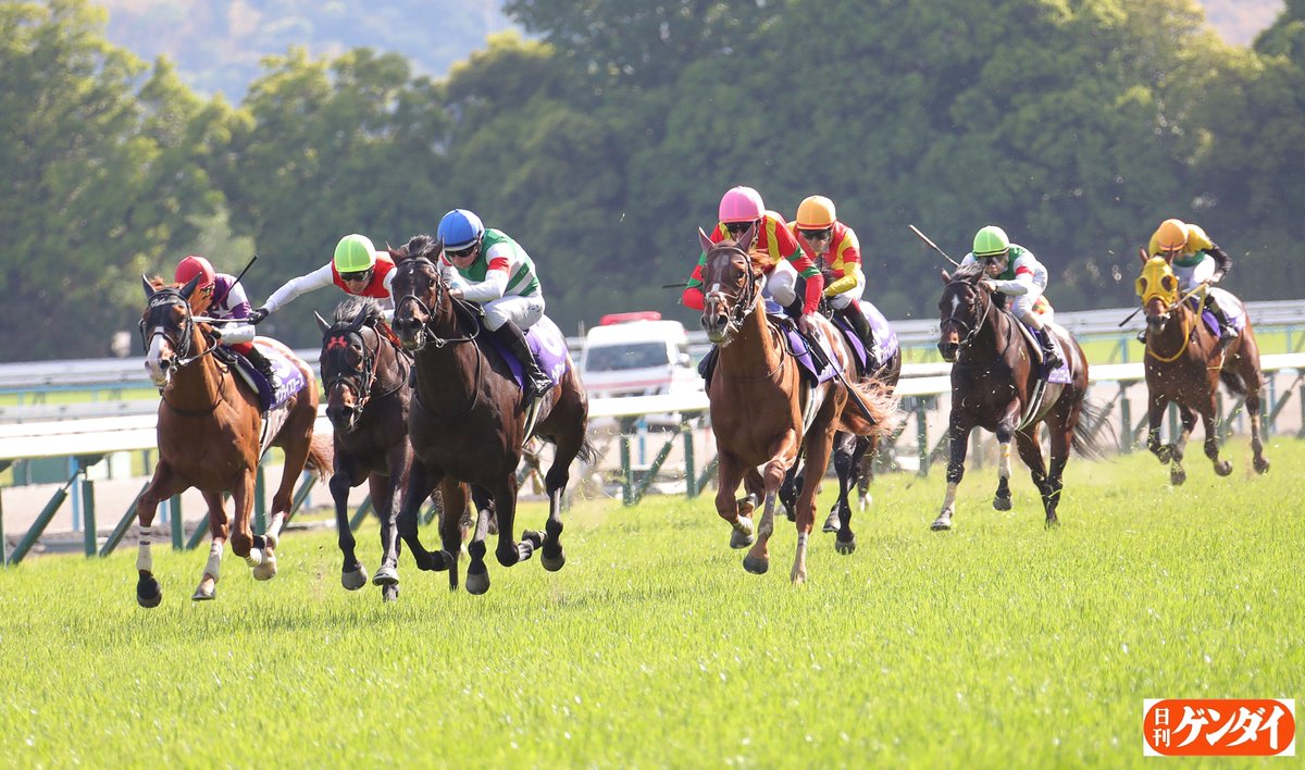 日刊ゲンダイ　競馬 tweet media