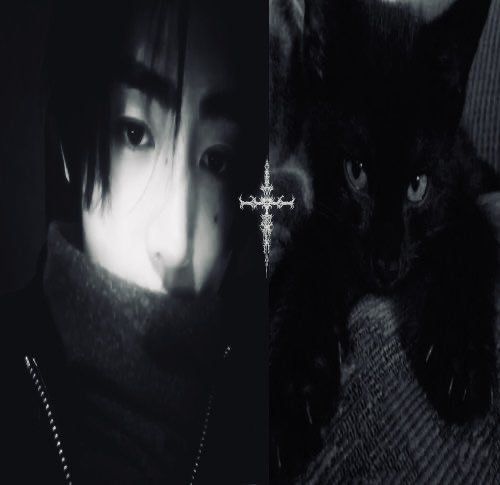 Soh .⋆♱ OT7 tweet media