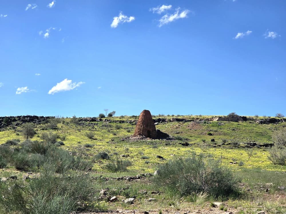 GondwanaLodges's tweet image. Gondwana Canyon Park looking amazing, the landscape is green with bursts of yellow flowers everywhere.

gondwana-collection.com/accommodation/…
📸 Michelle Rodgers

#gondwanalodges #namibia #travel #loandscape