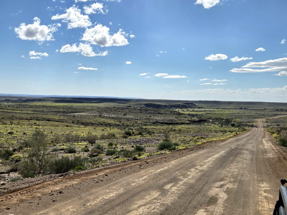 GondwanaLodges's tweet image. Gondwana Canyon Park looking amazing, the landscape is green with bursts of yellow flowers everywhere.

gondwana-collection.com/accommodation/…
📸 Michelle Rodgers

#gondwanalodges #namibia #travel #loandscape