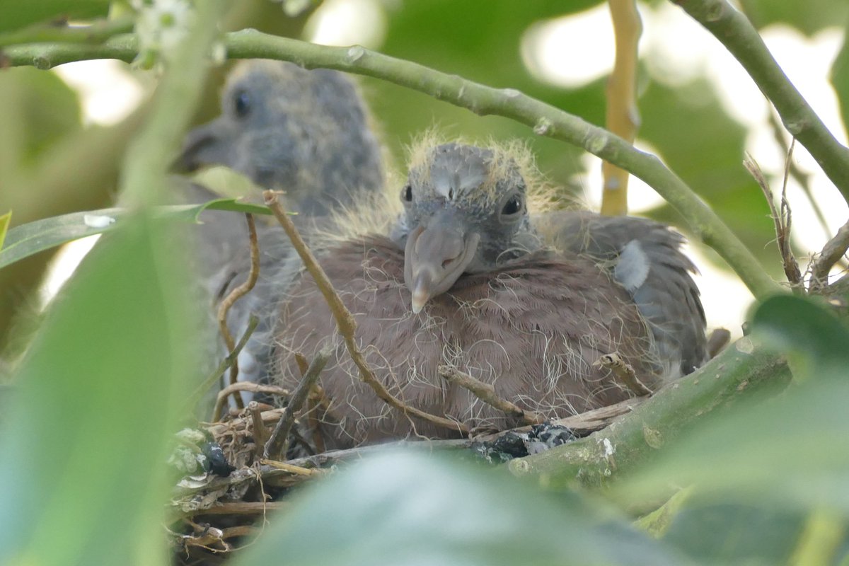 Guten Morgen ihr Lieben, 👋☕️💛😘
wünsche euch einen wunderschönen Tag. Passt auf euch auf und bleibt gesund. Den Kranken wünsche ich eine vollständige und schnelle Genesung.

Habt einen sonnigen Start in die Woche.