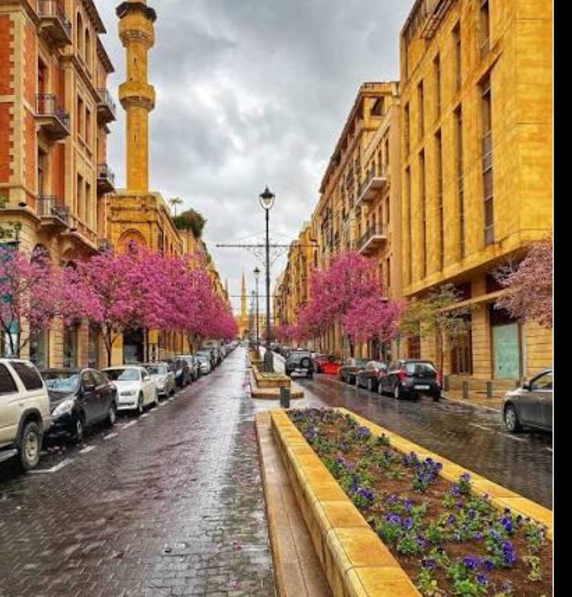 نعم ؟ لايقاف الحرب tweet media