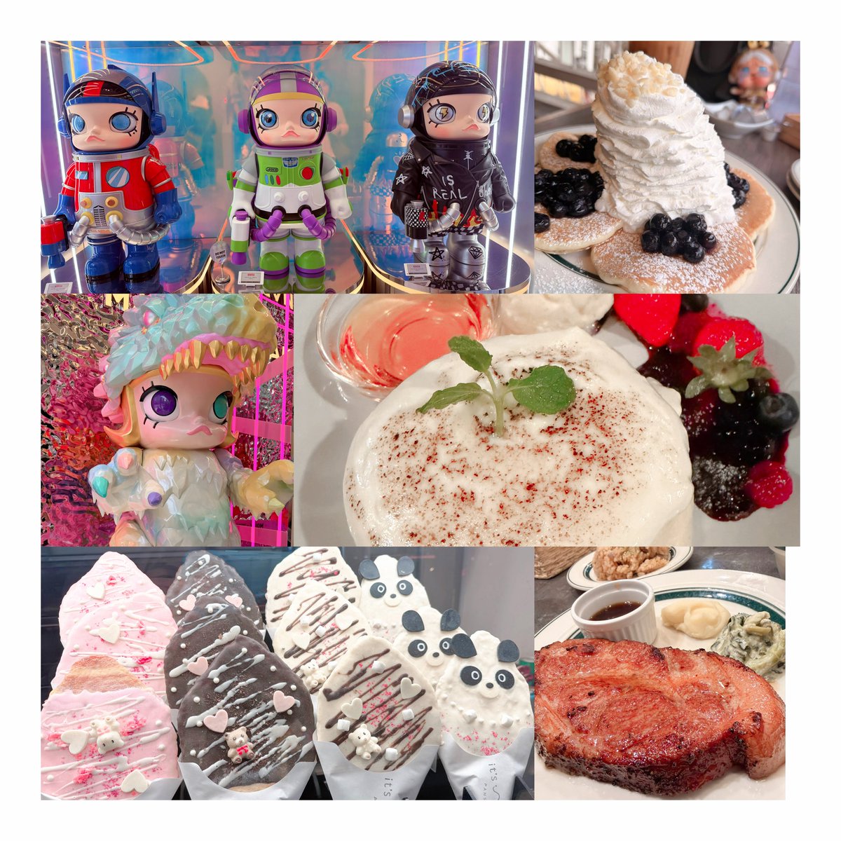 トイぷードルのチロルฅU-ﻌ-Uฅ🐾🐆 tweet media