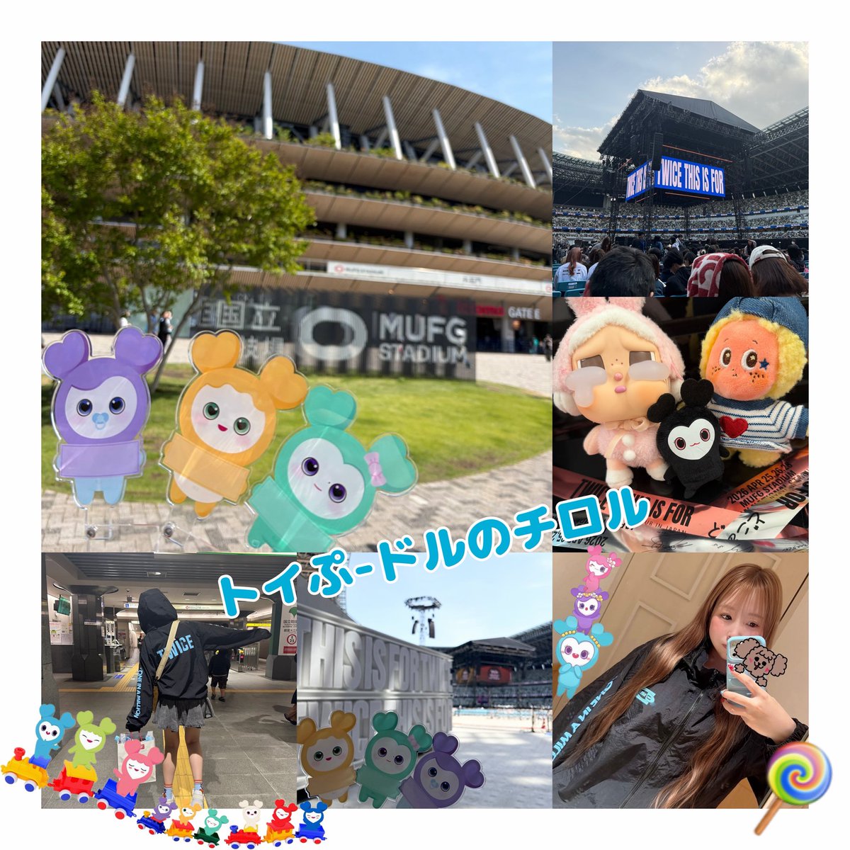 トイぷードルのチロルฅU-ﻌ-Uฅ🐾🐆 tweet media