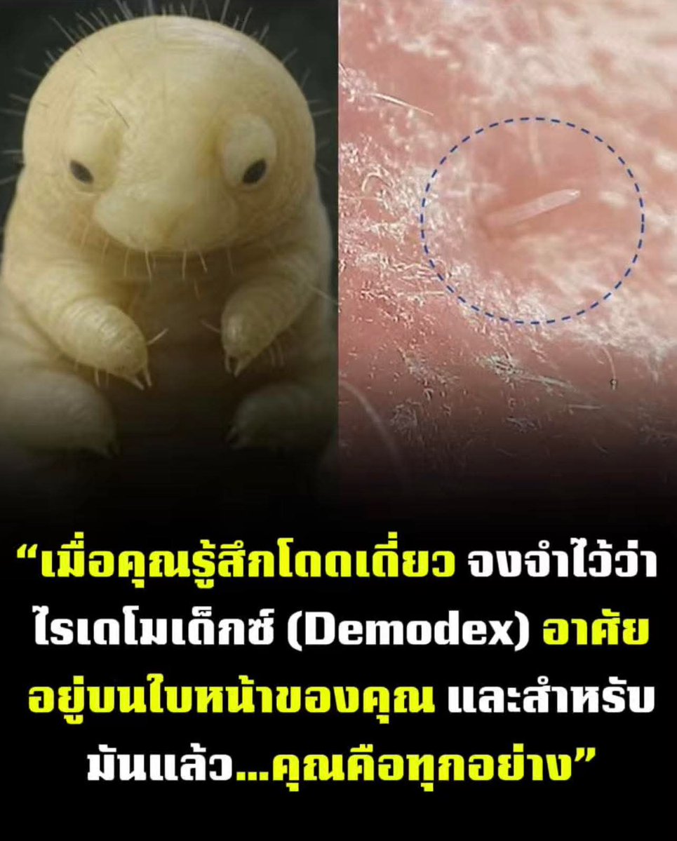 เฉียนเฉี่ยน tweet media