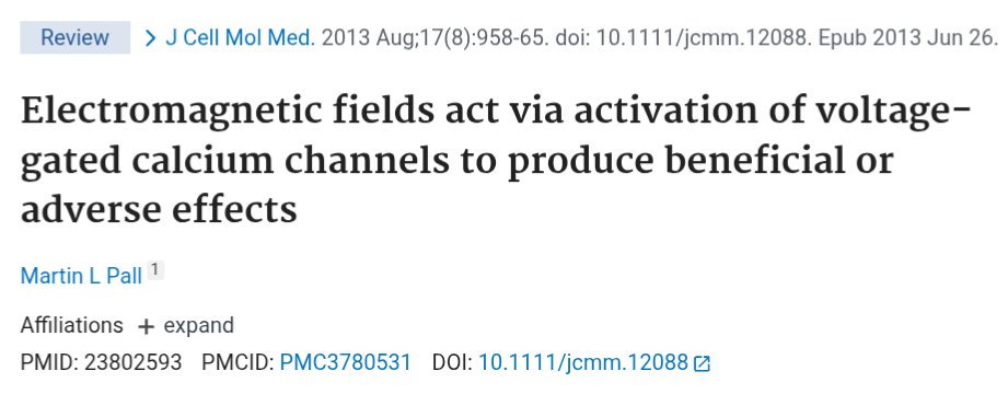 Dr. Ammous tweet media