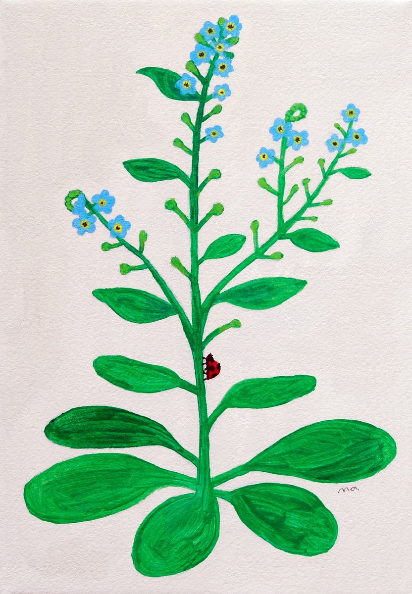 macco｜個展4/4-5/3（大阪） tweet media