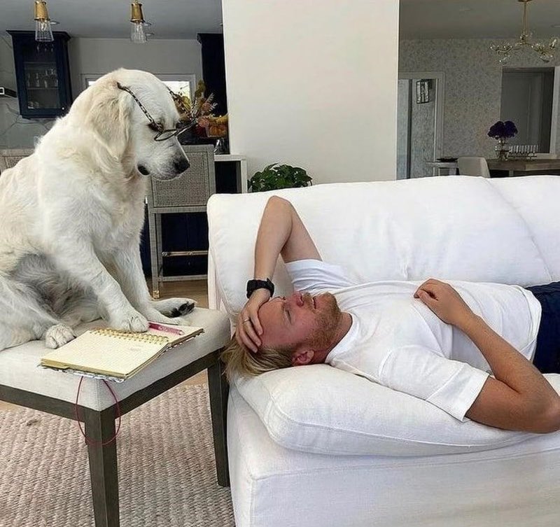 Agatha Chocolats tweet media