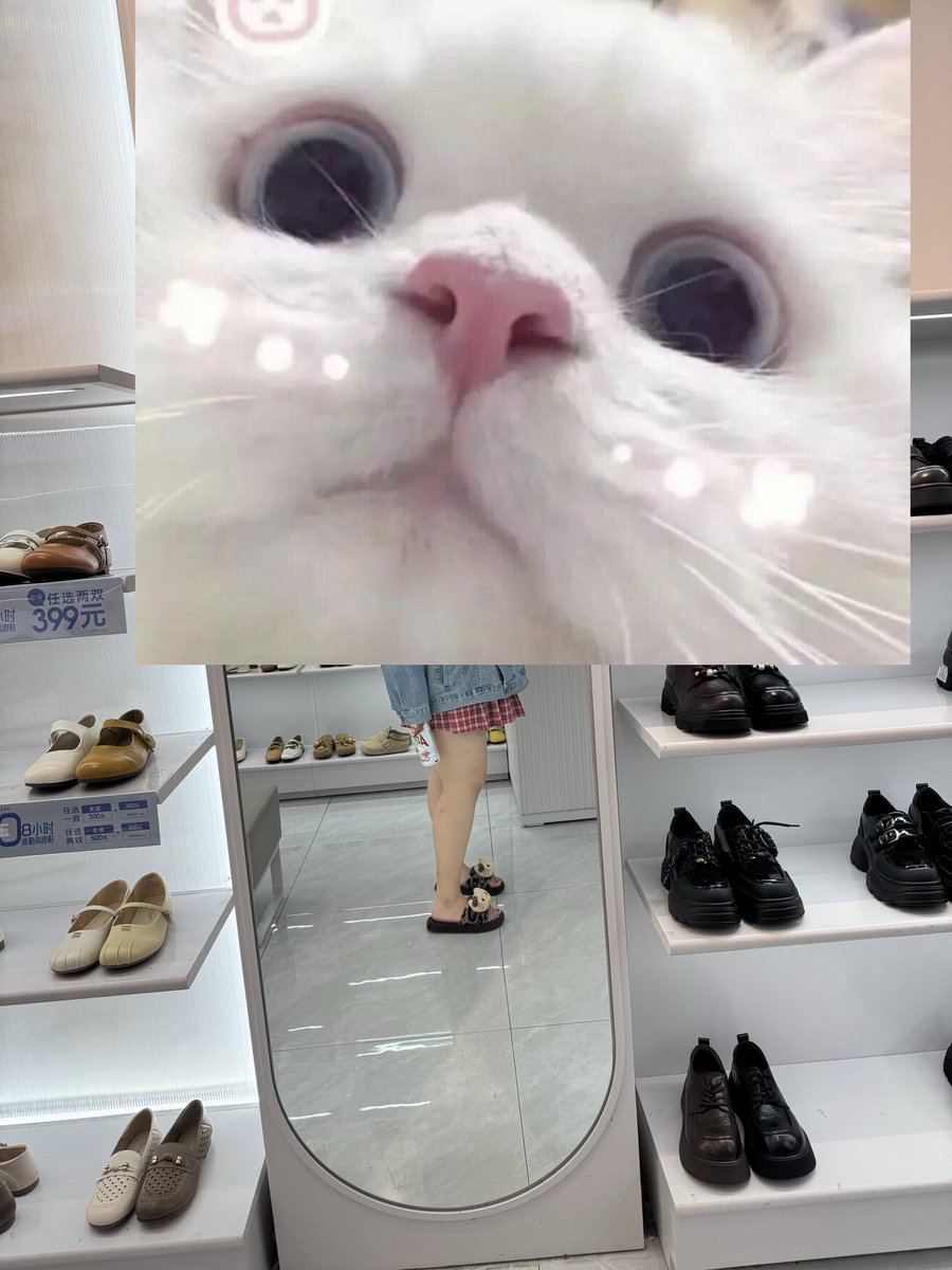 软软酱 tweet media