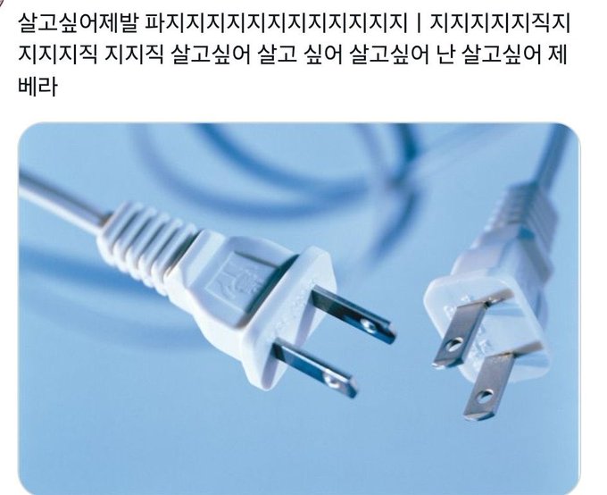 굴렛🦪 (@yakioyster) on Twitter photo 