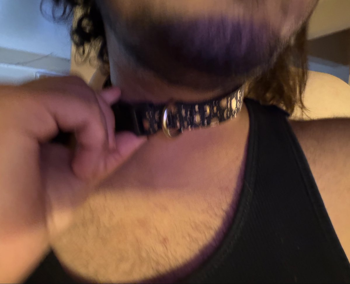 t4tfrotter's tweet image. gf got me a collar  #yay