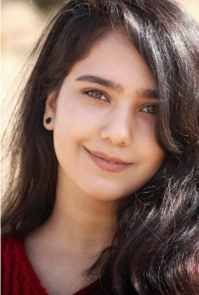 Tara | تارا tweet media