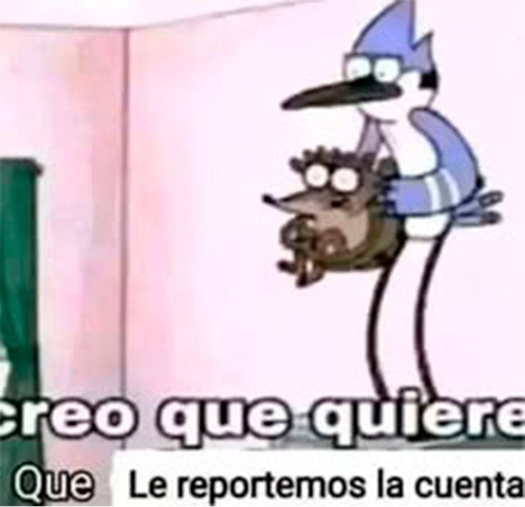 LUKASGAMER8538 (EMPERADOR) tweet media