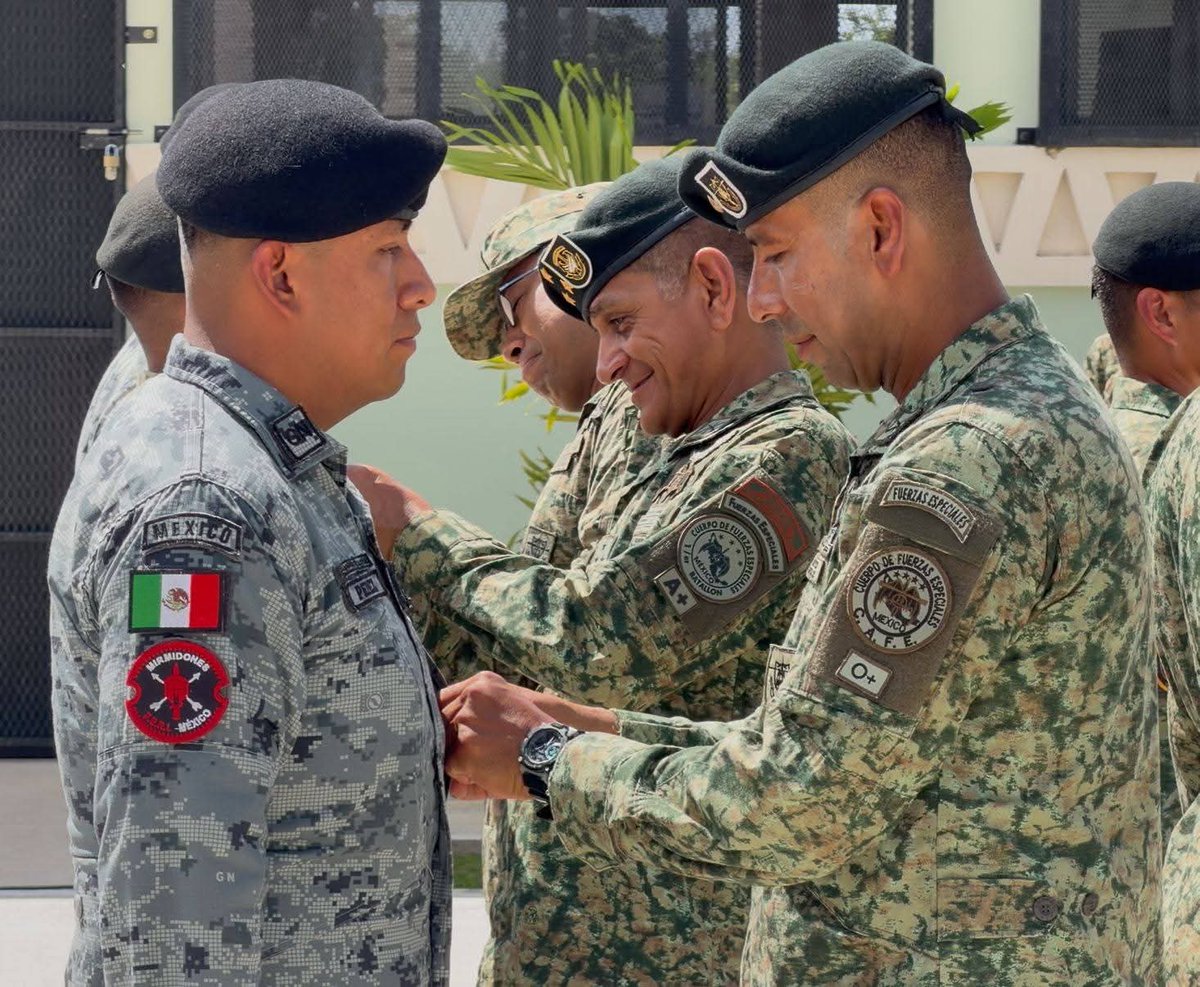 EJÉRCITO, FUERZA AÉREA Y GUARDIA NACIONAL México tweet media