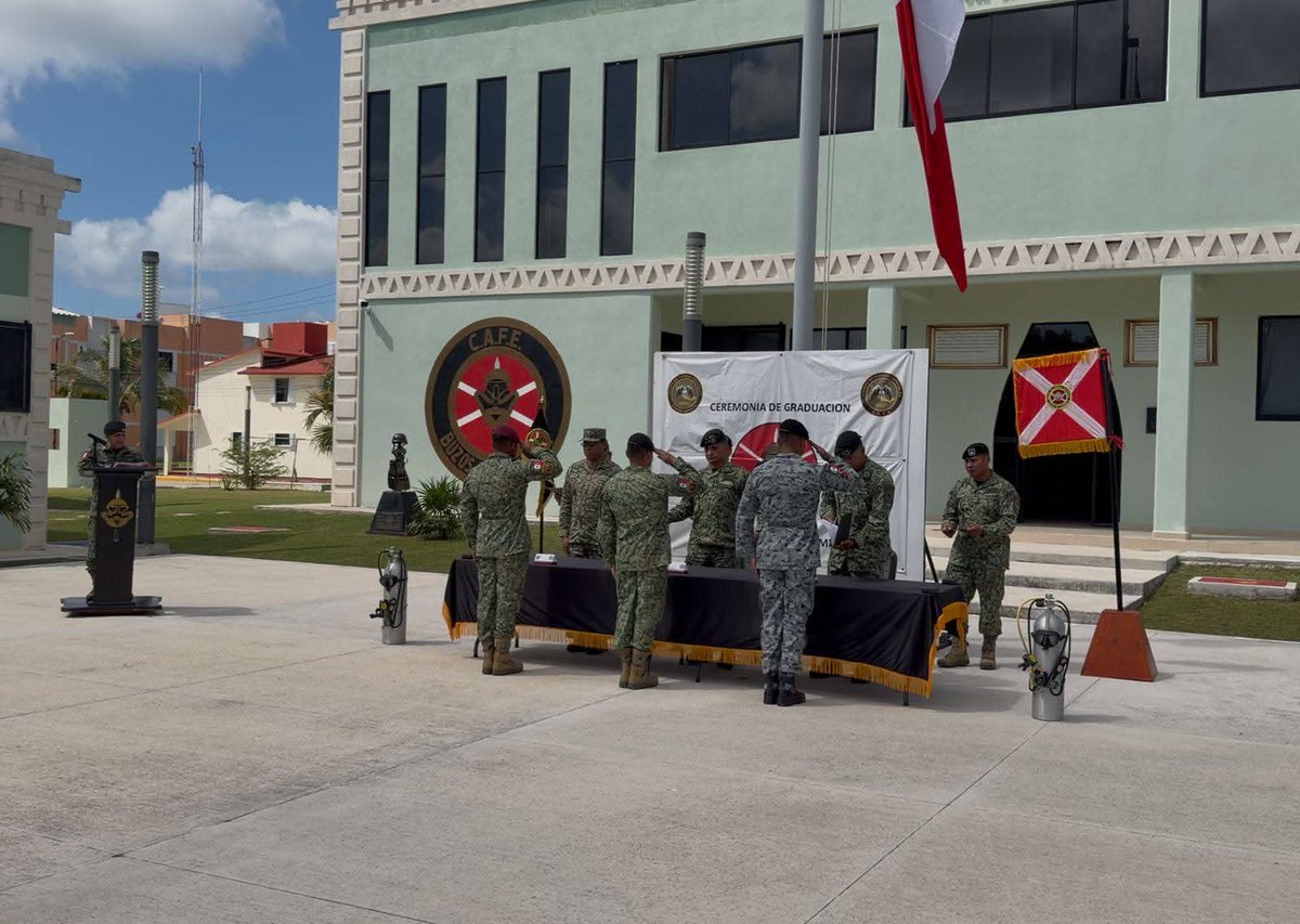 EJÉRCITO, FUERZA AÉREA Y GUARDIA NACIONAL México tweet media