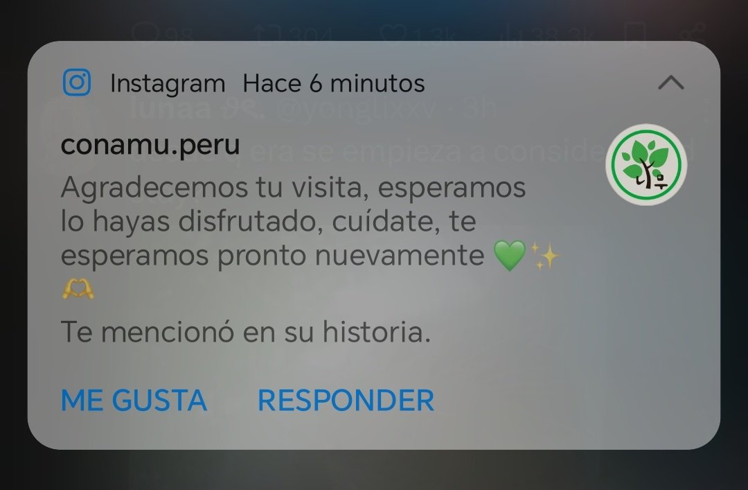 mai★ 🇵🇪 VI A SKZ tweet media