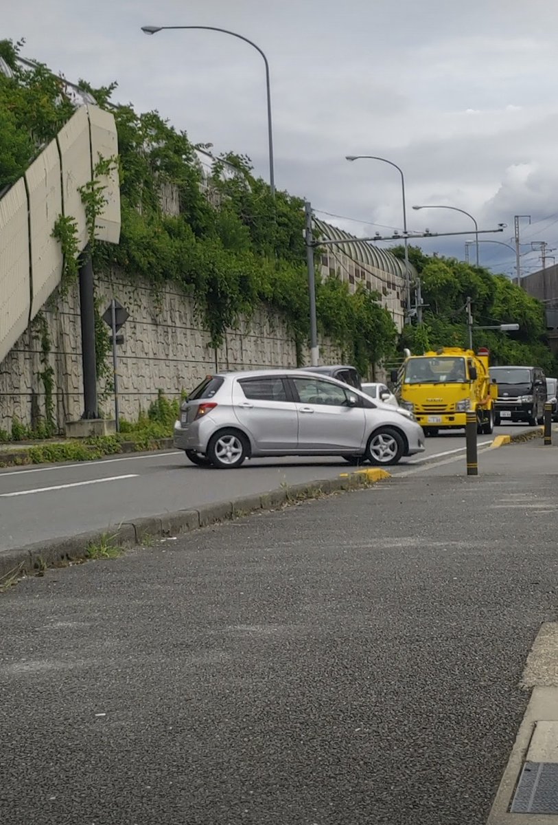 VECTOR(ベクトル) tweet media