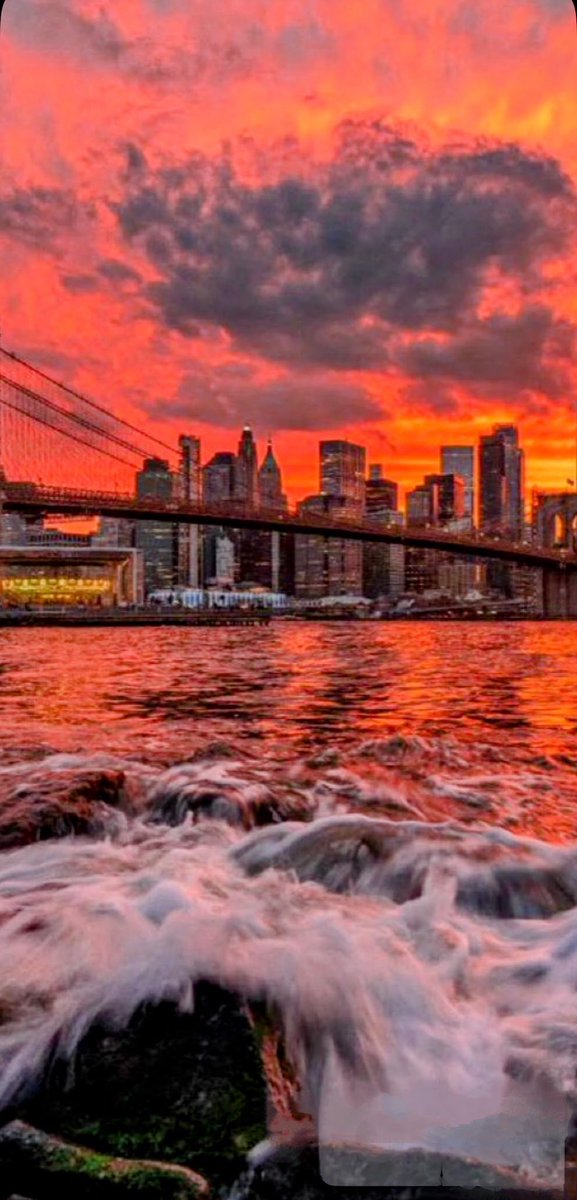 MARIA LUISA tweet media