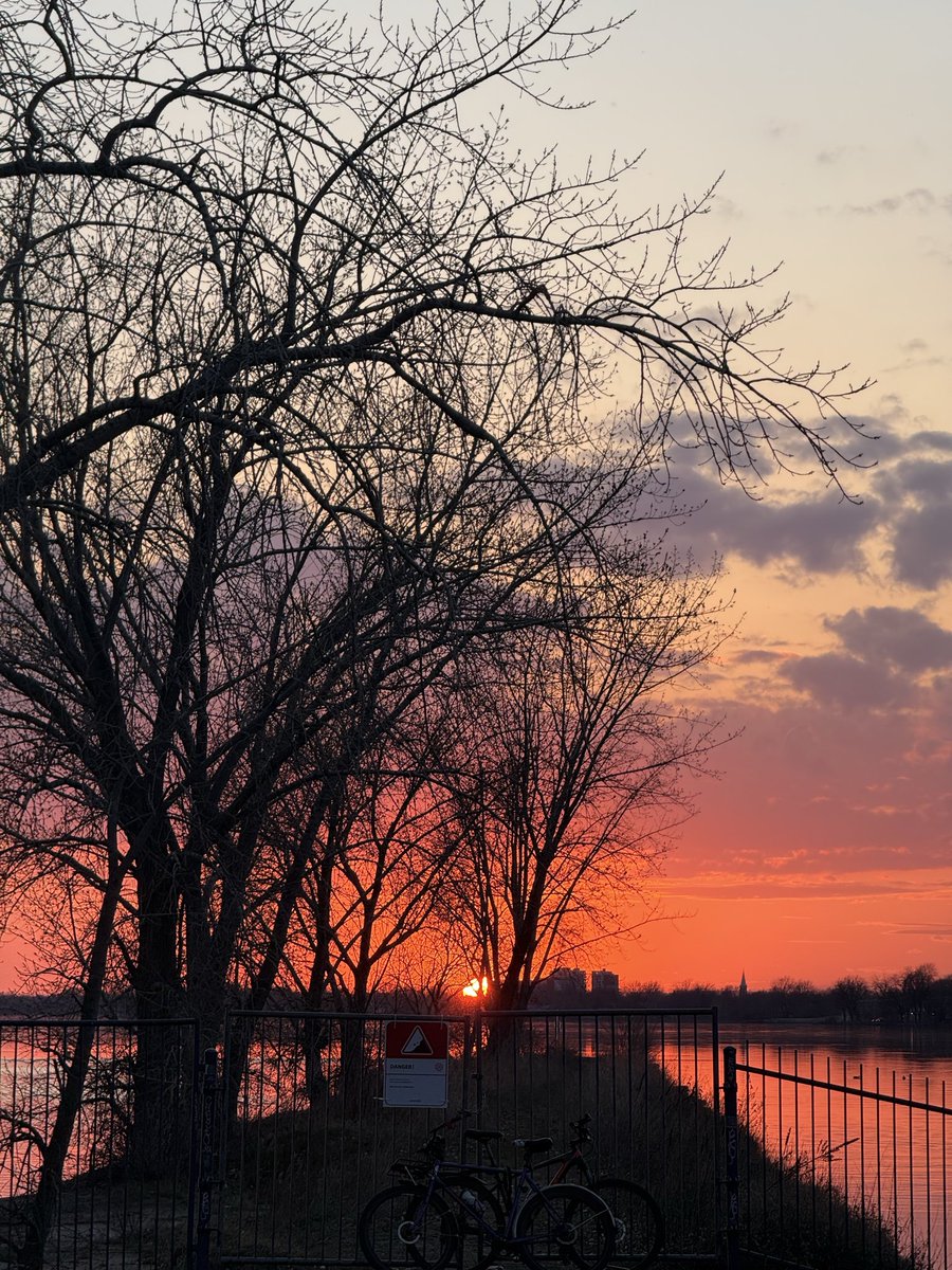 FakeUpSid's tweet photo. Unhappiness dissolving with spring https://t.co/n2QWSzQCoe