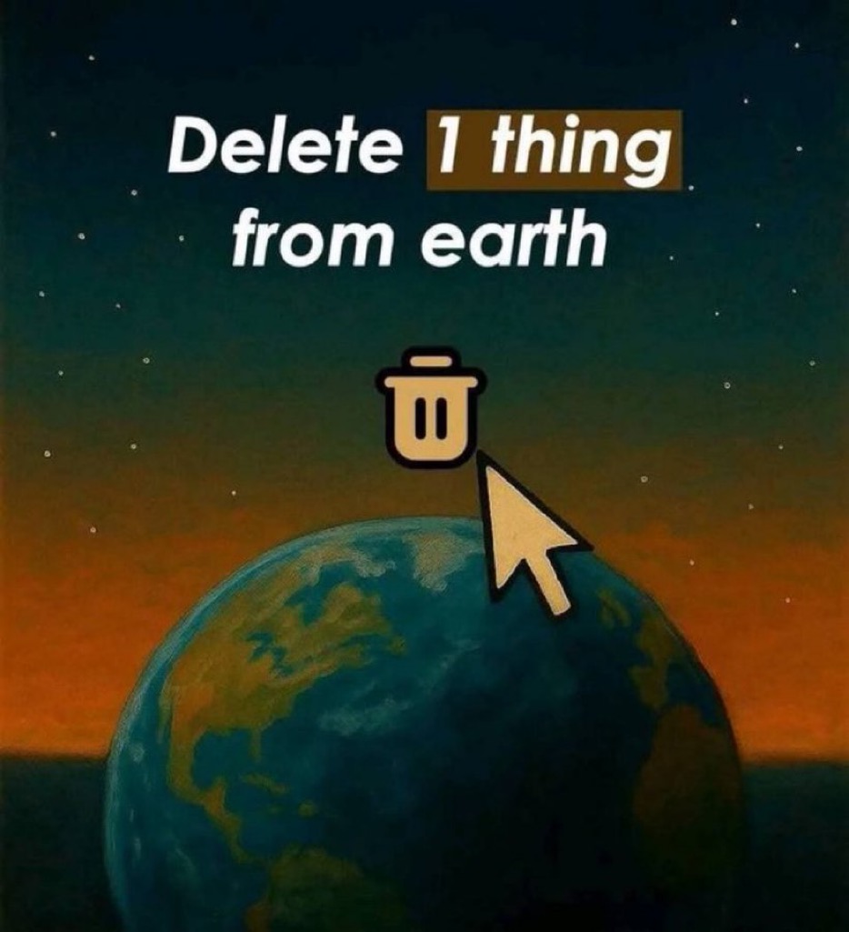 Noah’s Ark 🚢 tweet media