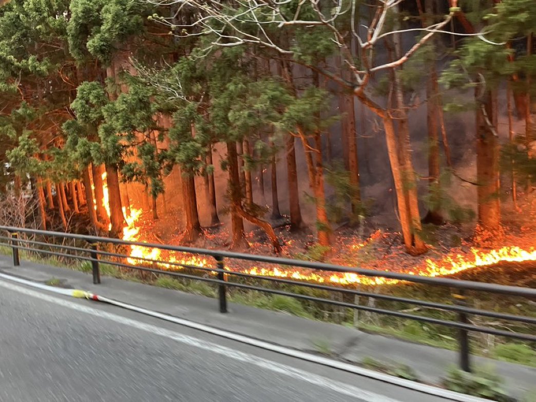 ポッピンココ tweet media