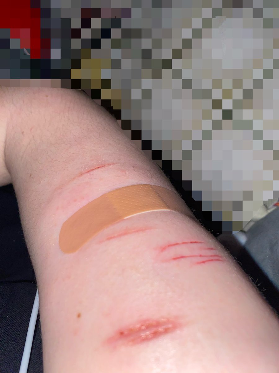 ʲʰᵒᵐⁱˢ tweet media