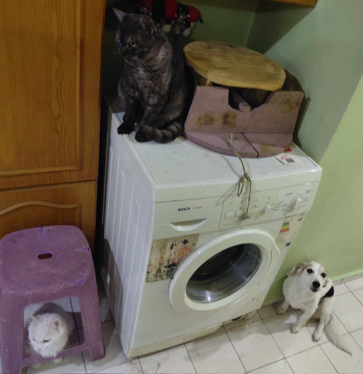 𝗠𝗢𝗥💜𝗔𝗡𝗡𝗘 tweet media