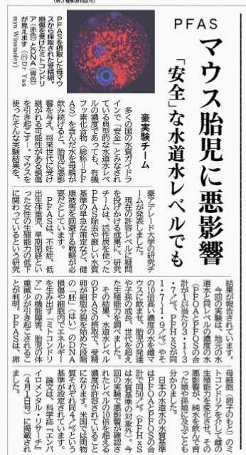 SNSイメージ