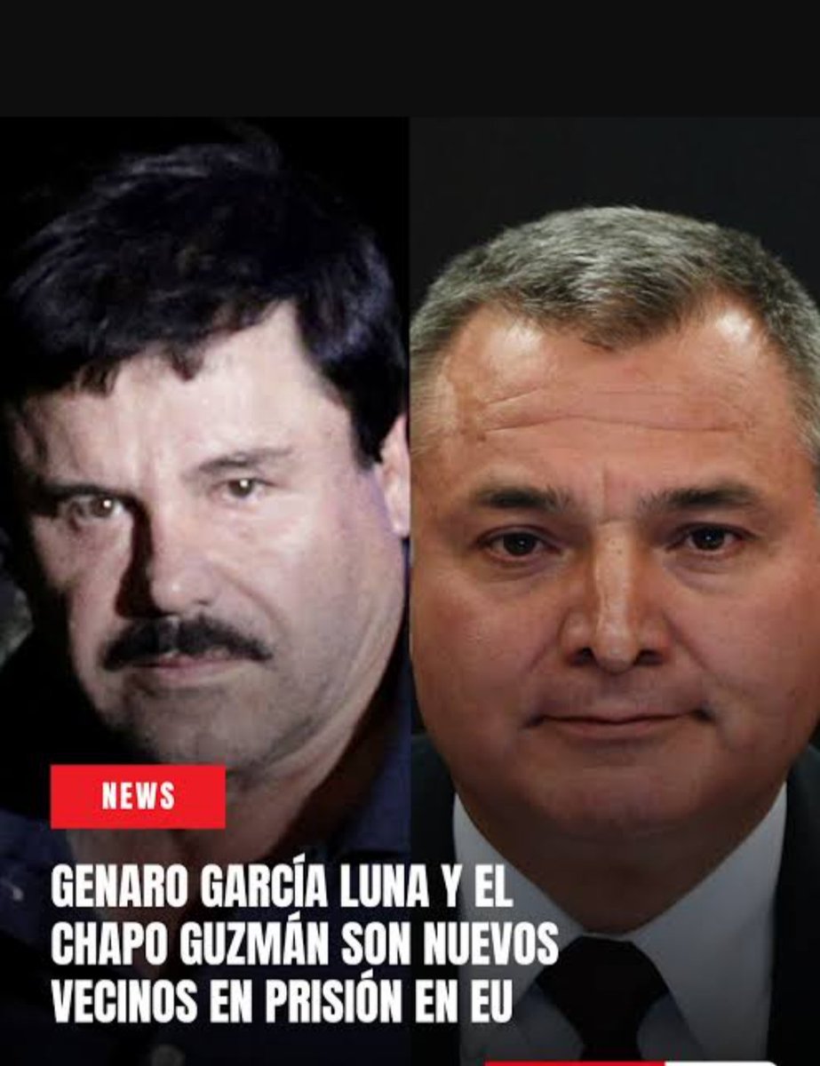 SamsaGregorio01 tweet media