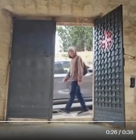 Natalie Bédard 🍉🌻🌿 tweet media