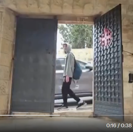 Natalie Bédard 🍉🌻🌿 tweet media